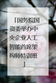 国务院国资委举办中央企业人工智能首席架构师特训班