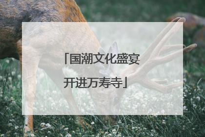 国潮文化盛宴开进万寿寺
