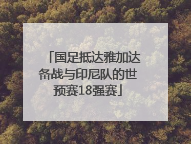 国足抵达雅加达备战与印尼队的世预赛18强赛