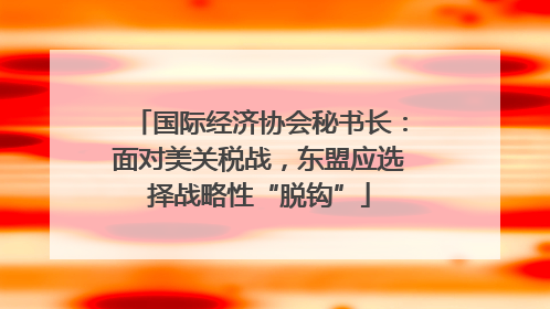 国际经济协会秘书长：面对美关税战，东盟应选择战略性“脱钩”