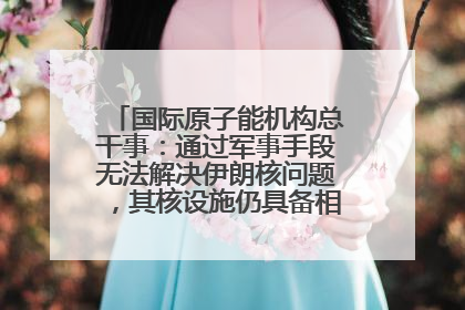 国际原子能机构总干事：通过军事手段无法解决伊朗核问题，其核设施仍具备相关产能，只需要数月就能生产出浓缩铀