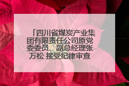四川省煤炭产业集团有限责任公司原党委委员、副总经理张万松 接受纪律审查和监察调查