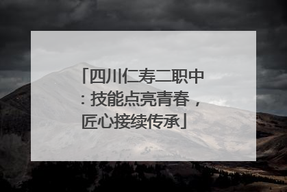 四川仁寿二职中：技能点亮青春，匠心接续传承