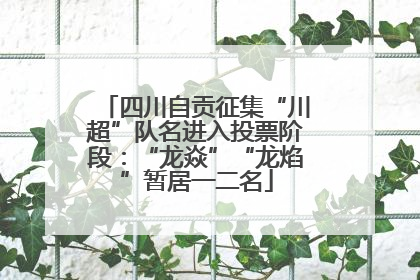 四川自贡征集“川超”队名进入投票阶段：“龙焱”“龙焰”暂居一二名