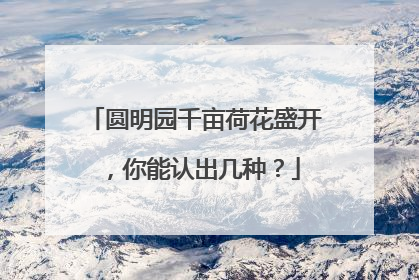 圆明园千亩荷花盛开，你能认出几种？