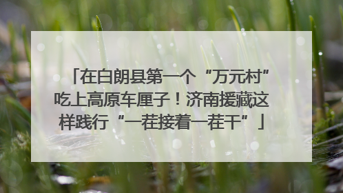 在白朗县第一个“万元村”吃上高原车厘子！济南援藏这样践行“一茬接着一茬干”