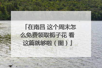 在南昌 这个周末怎么免费领取栀子花 看这篇就够啦（图）