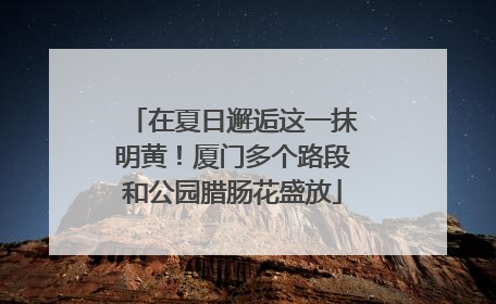 在夏日邂逅这一抹明黄!厦门多个路段和公园腊肠花盛放