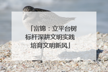 富锦：立平台树标杆深耕文明实践培育文明新风