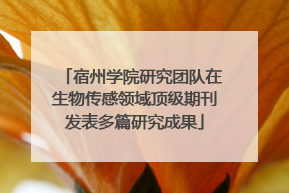 宿州学院研究团队在生物传感领域顶级期刊发表多篇研究成果