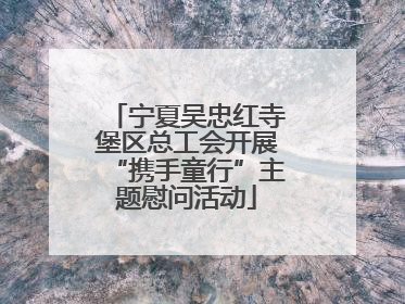 宁夏吴忠红寺堡区总工会开展“携手童行”主题慰问活动