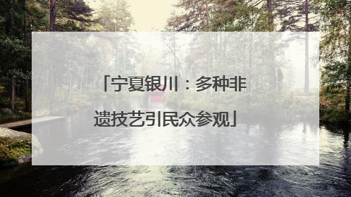 宁夏银川：多种非遗技艺引民众参观