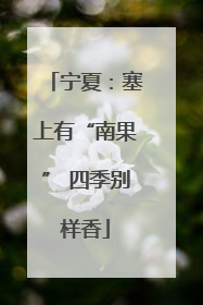 宁夏：塞上有“南果” 四季别样香