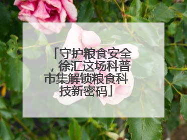 守护粮食安全，徐汇这场科普市集解锁粮食科技新密码
