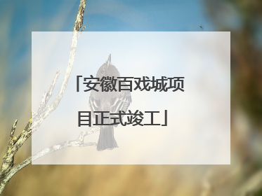 安徽百戏城项目正式竣工