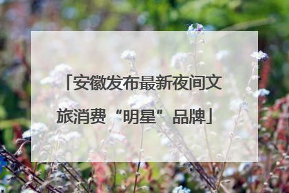 安徽发布最新夜间文旅消费“明星”品牌