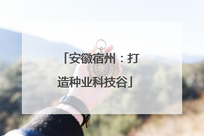 安徽宿州：打造种业科技谷
