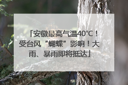 安徽最高气温40℃！受台风“蝴蝶”影响！大雨、暴雨即将抵达