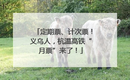 定期票、计次票！义乌人，杭温高铁“月票”来了！