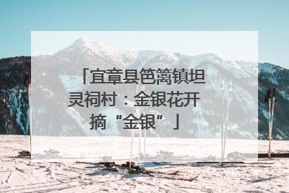 宜章县笆篱镇坦灵祠村：金银花开摘“金银”