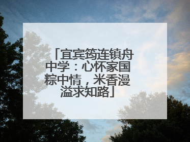 宜宾筠连镇舟中学：心怀家国粽中情，米香漫溢求知路