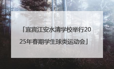 宜宾江安水清学校举行2025年春期学生球类运动会