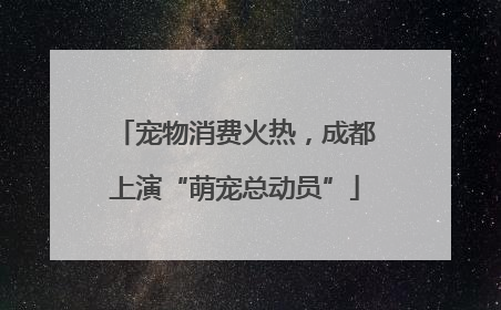 宠物消费火热，成都上演“萌宠总动员”