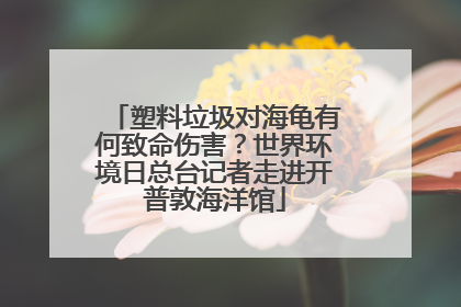 塑料垃圾对海龟有何致命伤害？世界环境日总台记者走进开普敦海洋馆