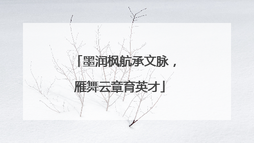 墨润枫航承文脉，雁舞云章育英才