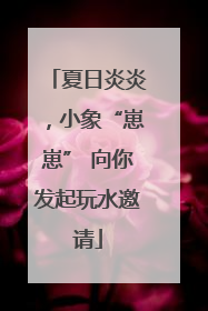 夏日炎炎，小象“崽崽” 向你发起玩水邀请