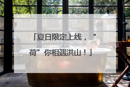 夏日限定上线，“荷”你相遇洪山！