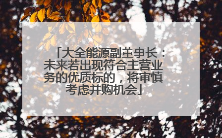 大全能源副董事长：未来若出现符合主营业务的优质标的，将审慎考虑并购机会