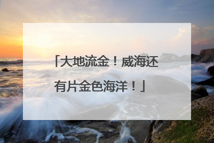 大地流金！威海还有片金色海洋！