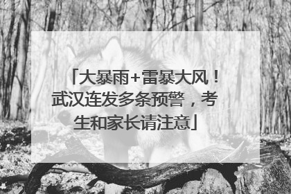大暴雨+雷暴大风！武汉连发多条预警，考生和家长请注意