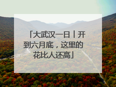 大武汉一日︱开到六月底，这里的花比人还高