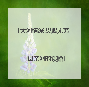 大河情深 恩赐无穷——母亲河的馈赠