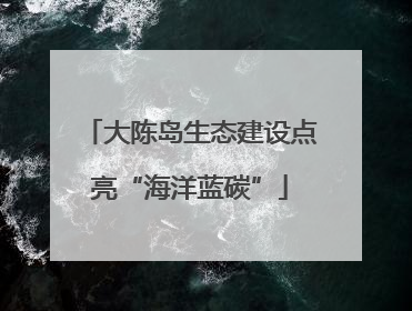 大陈岛生态建设点亮“海洋蓝碳”