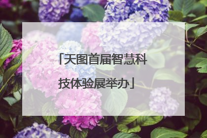 天图首届智慧科技体验展举办