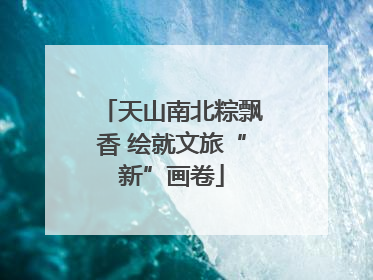 天山南北粽飘香 绘就文旅“新”画卷