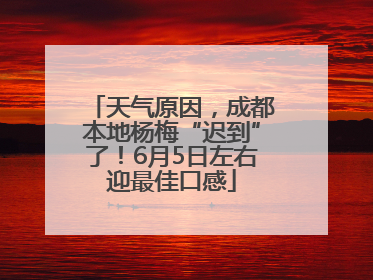 天气原因，成都本地杨梅“迟到”了！6月5日左右迎最佳口感
