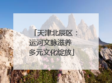 天津北辰区：运河文脉滋养 多元文化绽放