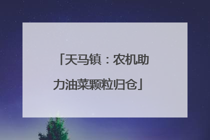 天马镇：农机助力油菜颗粒归仓