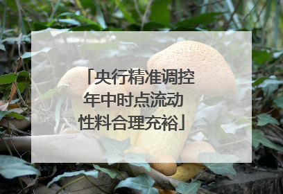 央行精准调控 年中时点流动性料合理充裕