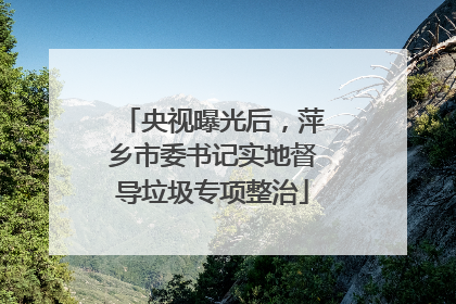 央视曝光后，萍乡市委书记实地督导垃圾专项整治