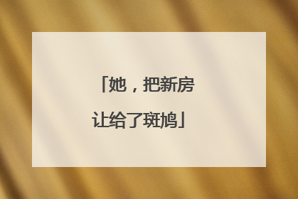 她，把新房让给了斑鸠