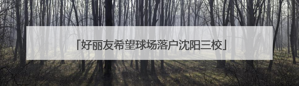 好丽友希望球场落户沈阳三校