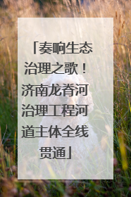 奏响生态治理之歌！济南龙脊河治理工程河道主体全线贯通
