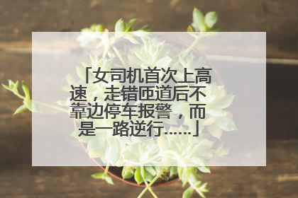 女司机首次上高速，走错匝道后不靠边停车报警，而是一路逆行……
