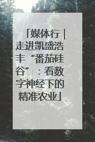 媒体行｜走进凯盛浩丰“番茄硅谷”：看数字神经下的精准农业