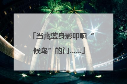 当藏蓝身影叩响“候鸟”的门……